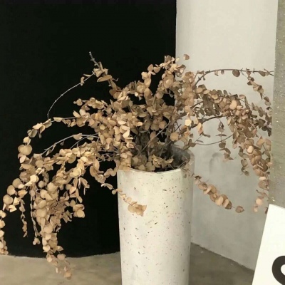 万载FurryQQ群介绍